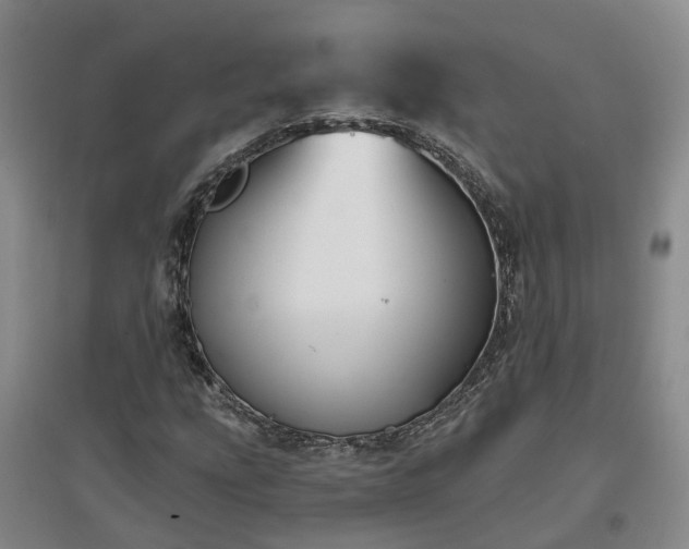 X0000096991207200802151345