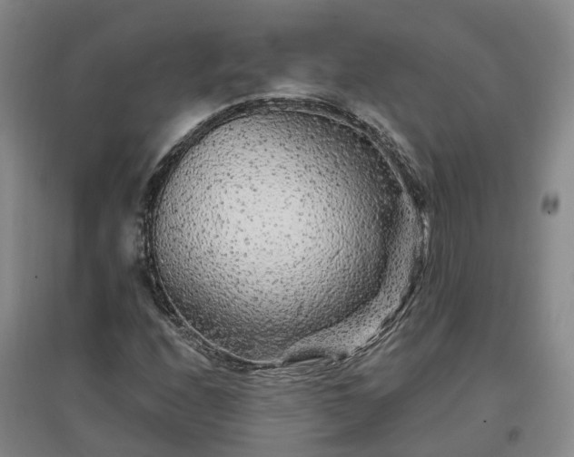 X0000096991208200802151345