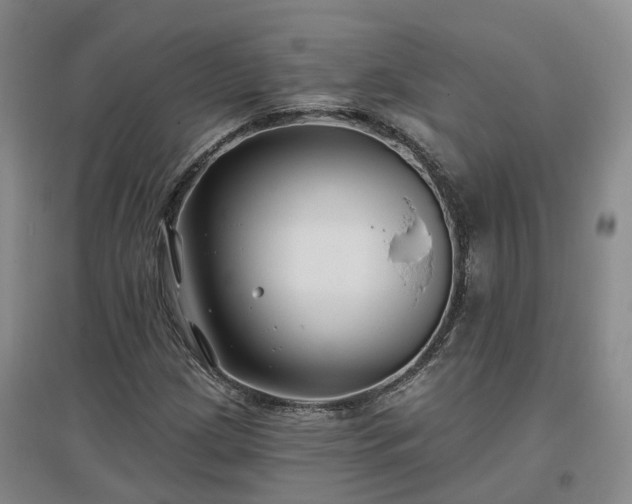 X0000096991209200802151345