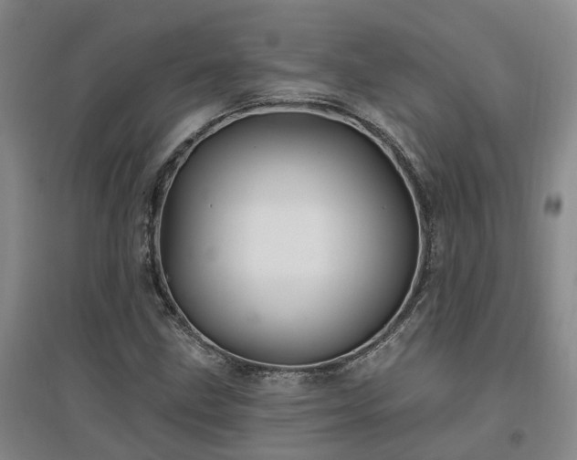 X0000096991211200802151345