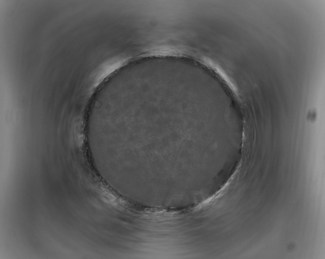 X0000096991213200802151345