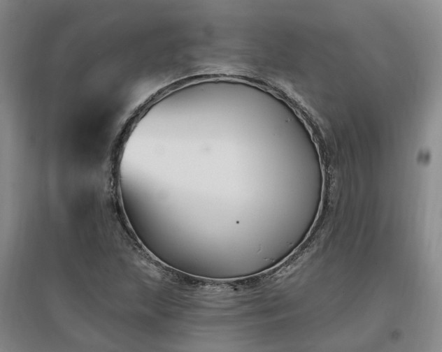X0000096991215200802151345