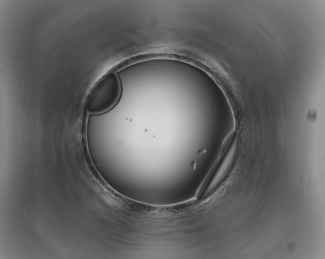 X0000096991216200802151345
