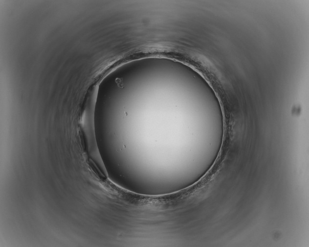 X0000096991217200802151345