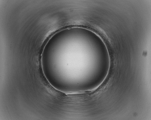 X0000096991218200802151345