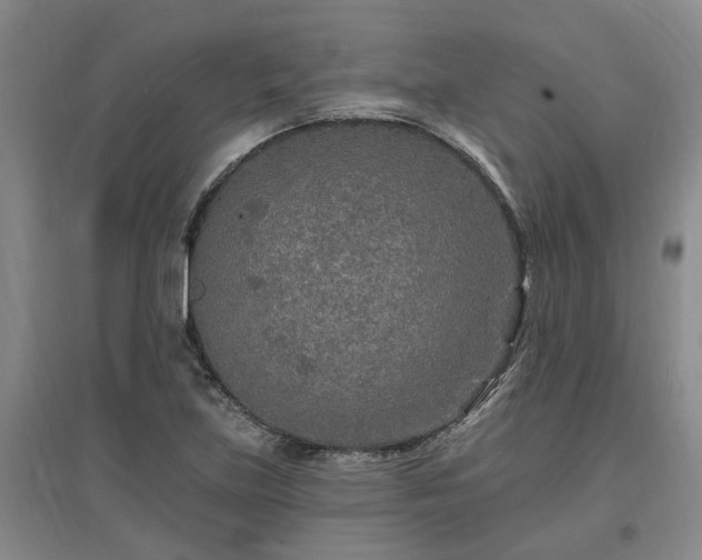 X0000096991219200802151345