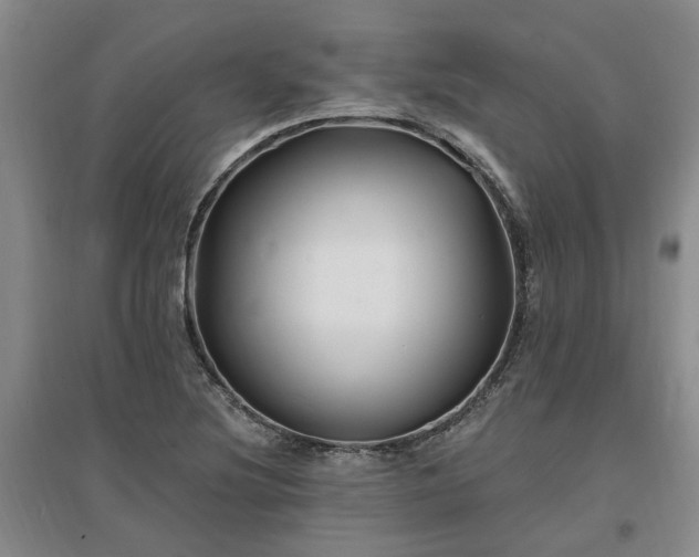 X0000096991220200802151345
