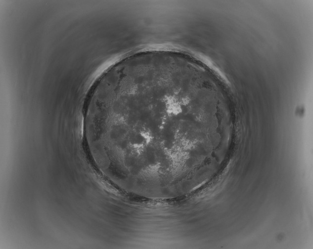X0000096991221200802151345