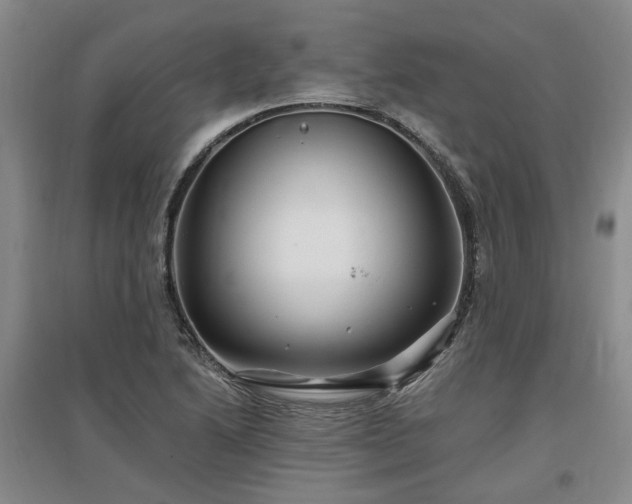 X0000096991222200802151345