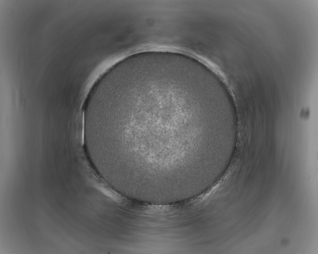 X0000096991223200802151345