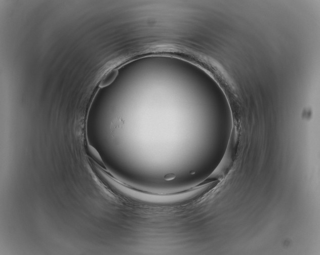 X0000096991225200802151345