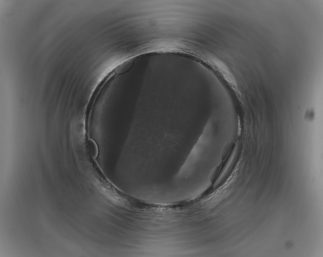 X0000096991226200802151345