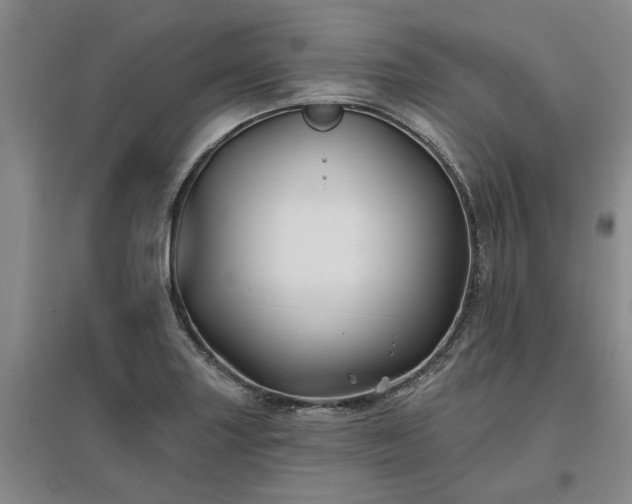 X0000096991227200802151345