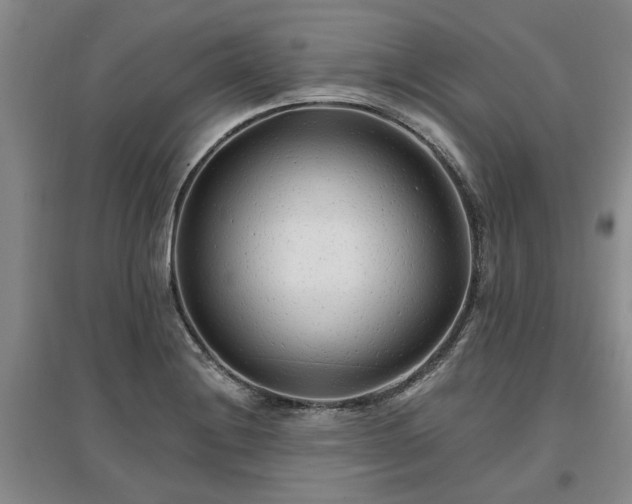 X0000096991228200802151345