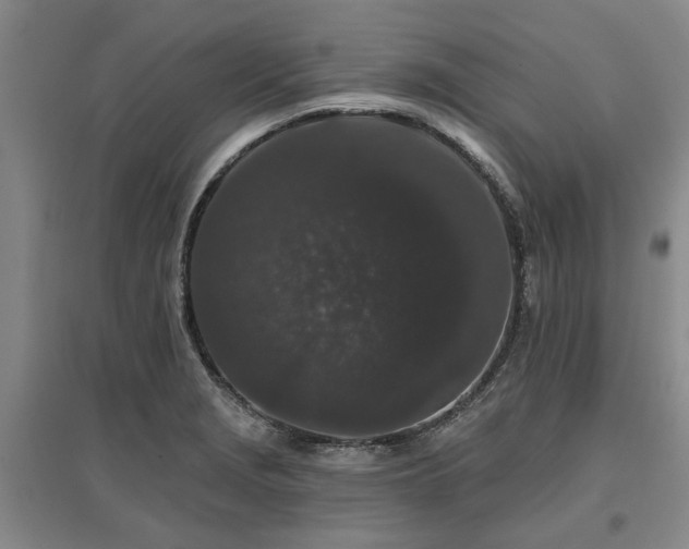 X0000096991229200802151345