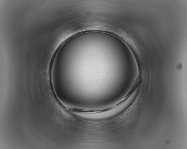 X0000096991230200802151345