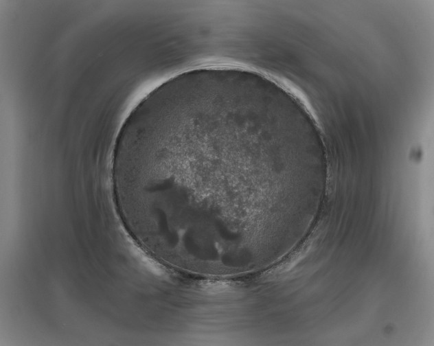 X0000096991231200802151345