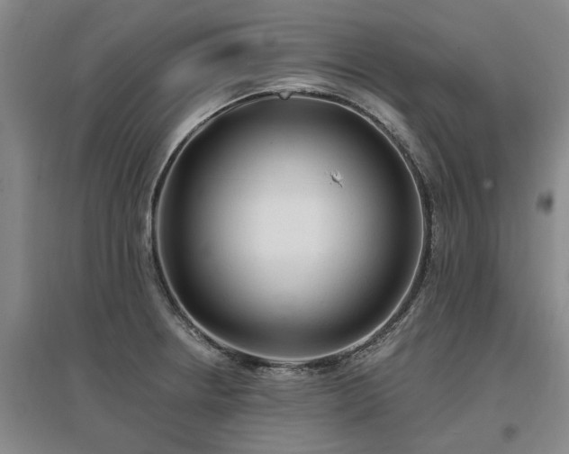 X0000096991234200802151345
