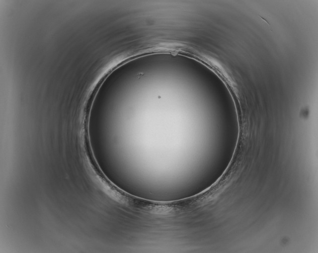 X0000096991235200802151345