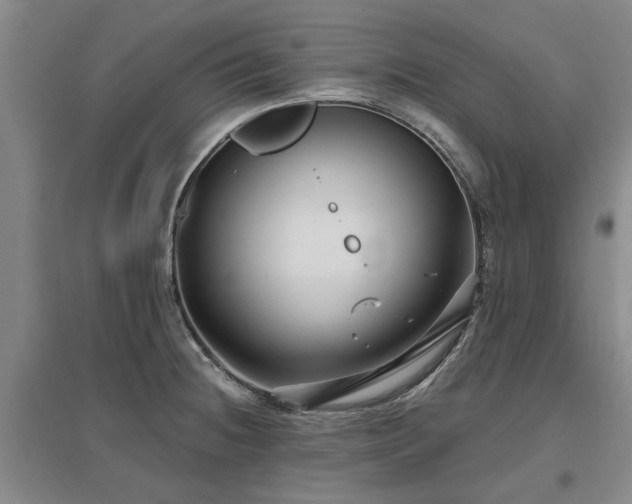 X0000096991236200802151345