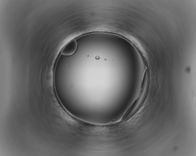 X0000096991238200802151345