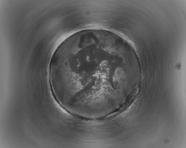 X0000096991239200802151345