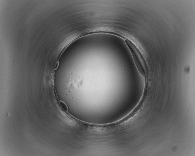 X0000096991241200802151345