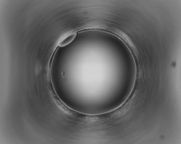 X0000096991242200802151345