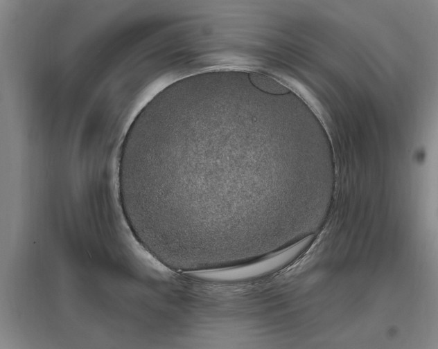 X0000096991243200802151345