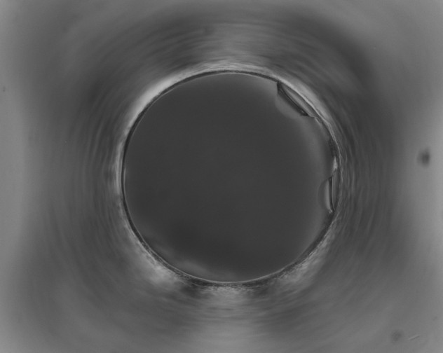 X0000096991246200802151345