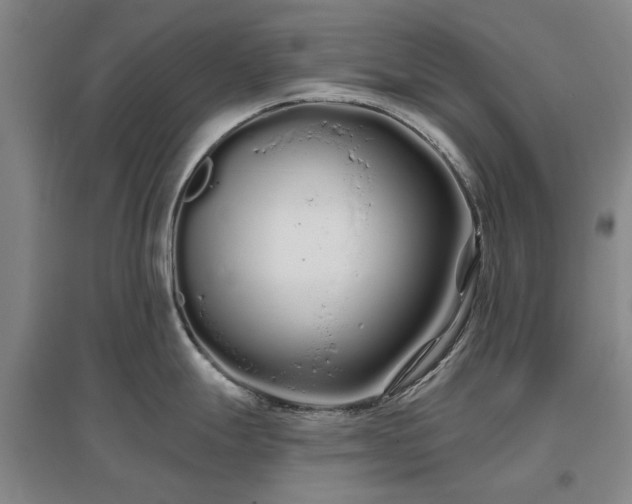 X0000096991247200802151345