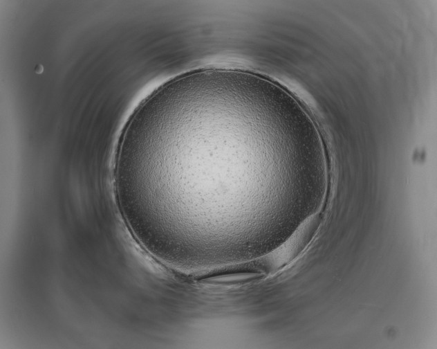 X0000096991248200802151345