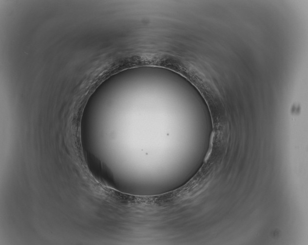 X0000096991249200802151345