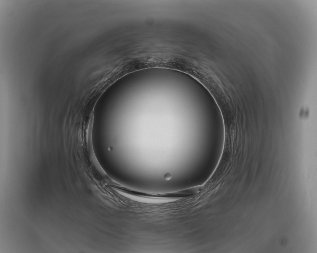 X0000096991250200802151345