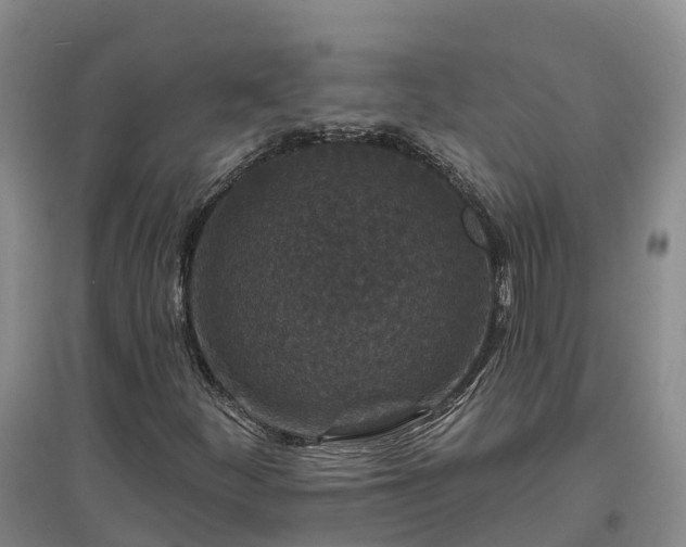 X0000096991252200802151345