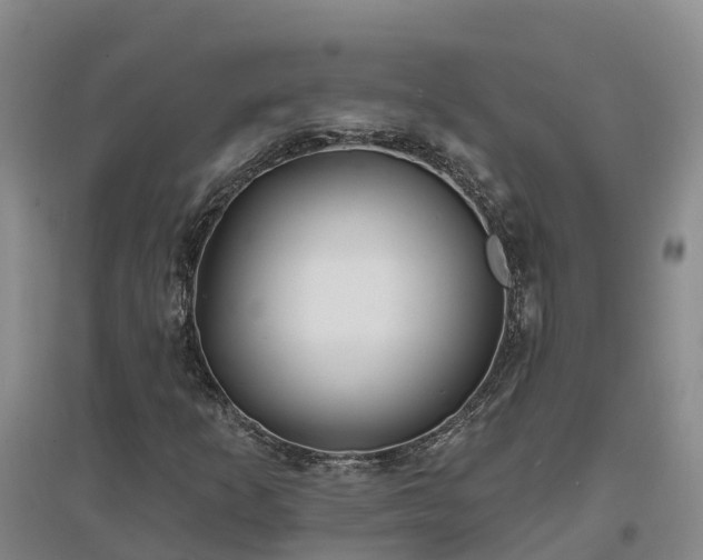 X0000096991253200802151345