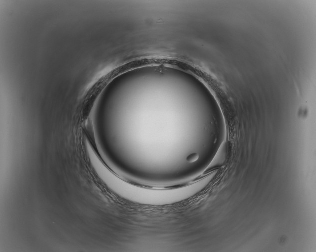 X0000096991255200802151345