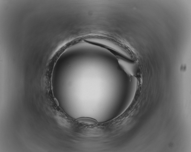 X0000096991256200802151345