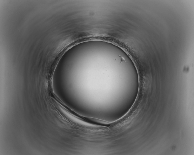 X0000096991257200802151345
