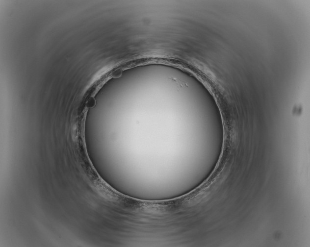 X0000096991258200802151345