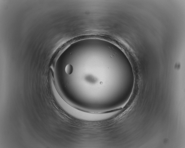 X0000096991259200802151345