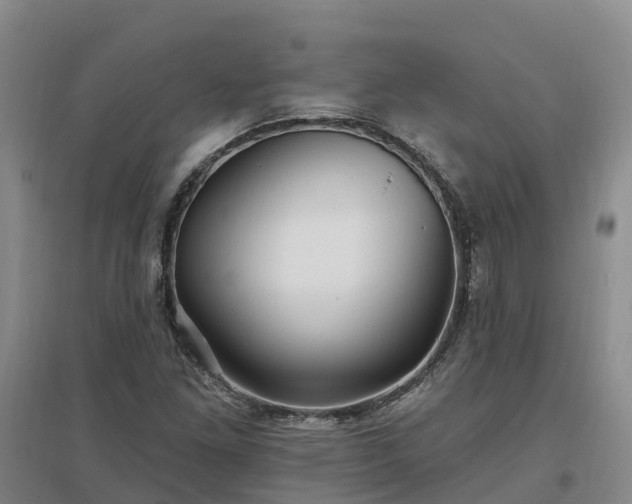 X0000096991261200802151345