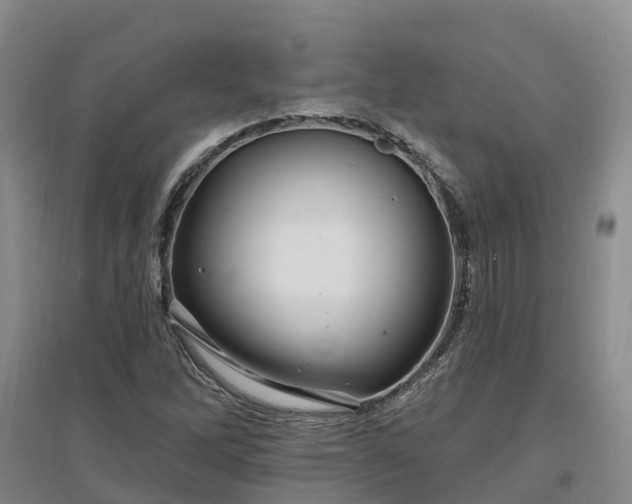 X0000096991262200802151345