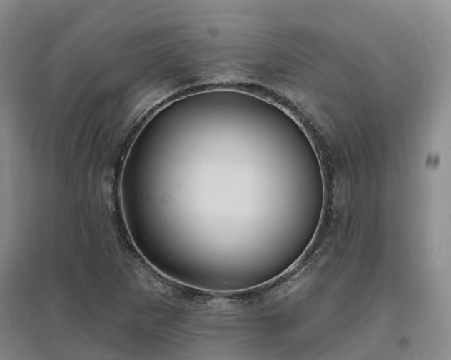 X0000096991265200802151345