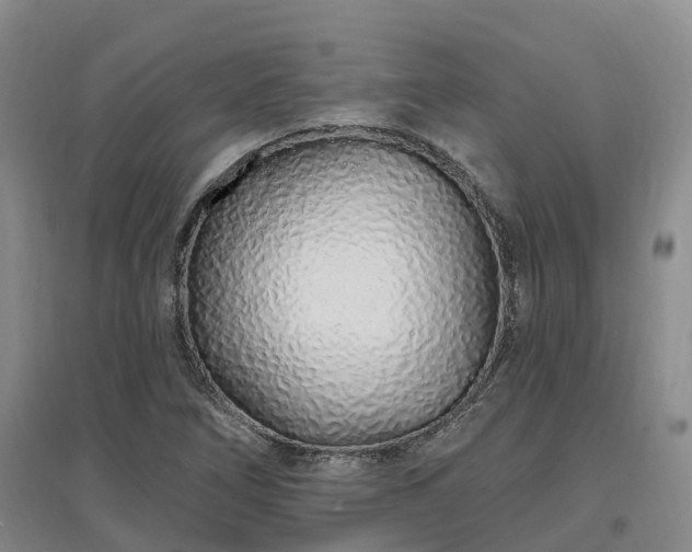 X0000096991266200802151345