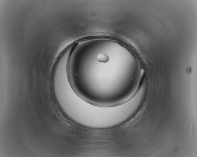 X0000096991267200802151344