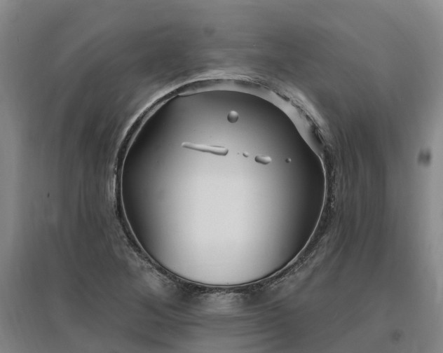 X0000096991268200802151344