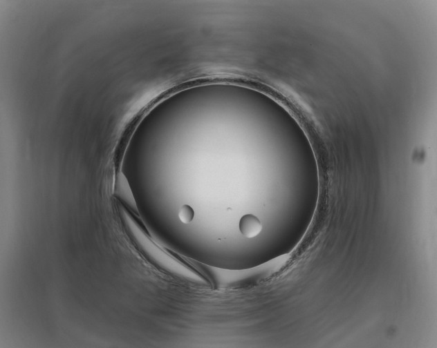 X0000096991269200802151344