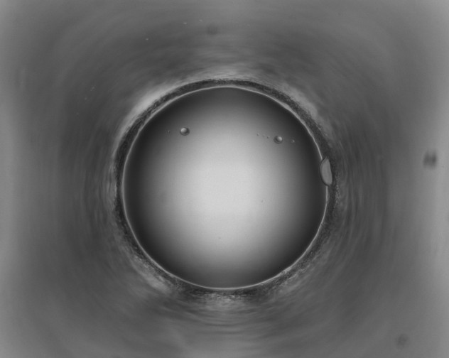 X0000096991270200802151344