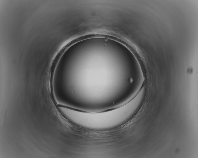 X0000096991272200802151344